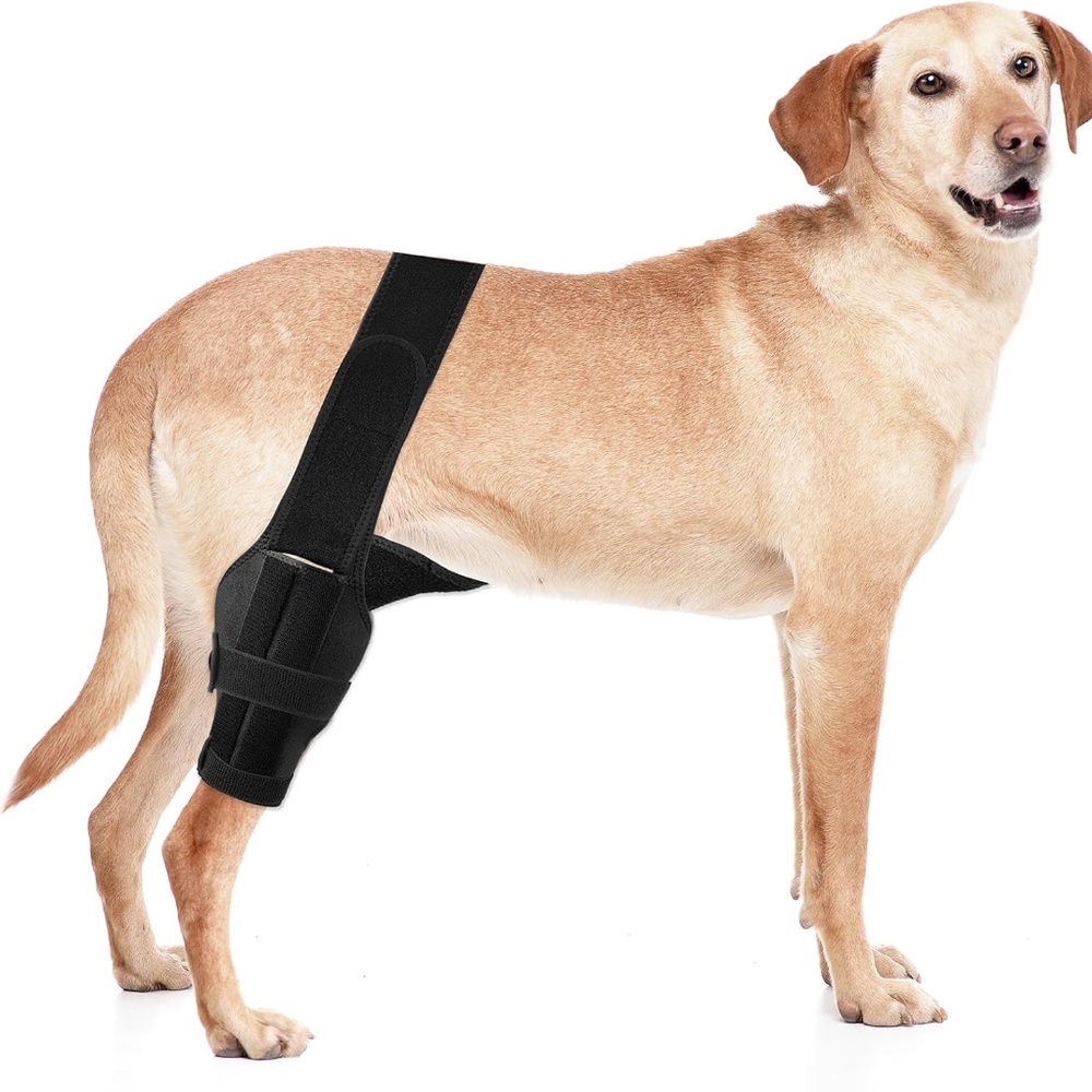 Dog Knee Brace - NWT